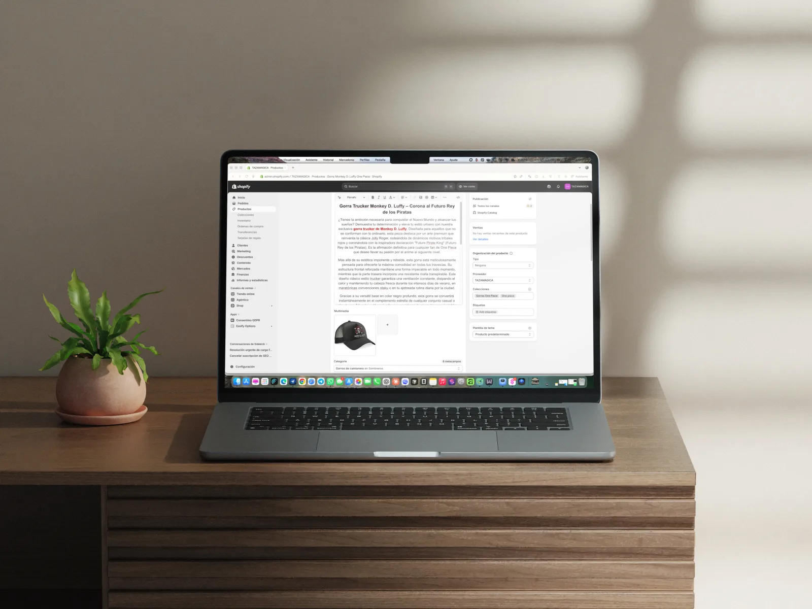 Ejemplo de trabajo: Optimización en Shopify